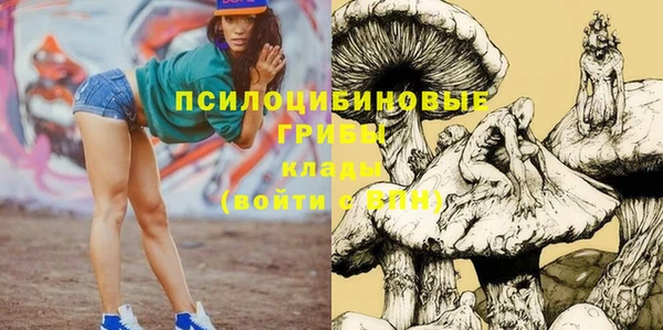бошки Аркадак