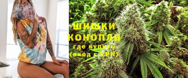 бошки Аркадак