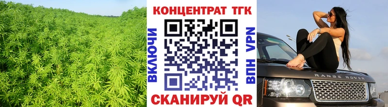ТГК Wax  площадка как зайти  Бежецк  блэк спрут вход 