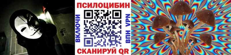 Галлюциногенные грибы MAGIC MUSHROOMS  OMG ССЫЛКА  Бежецк 